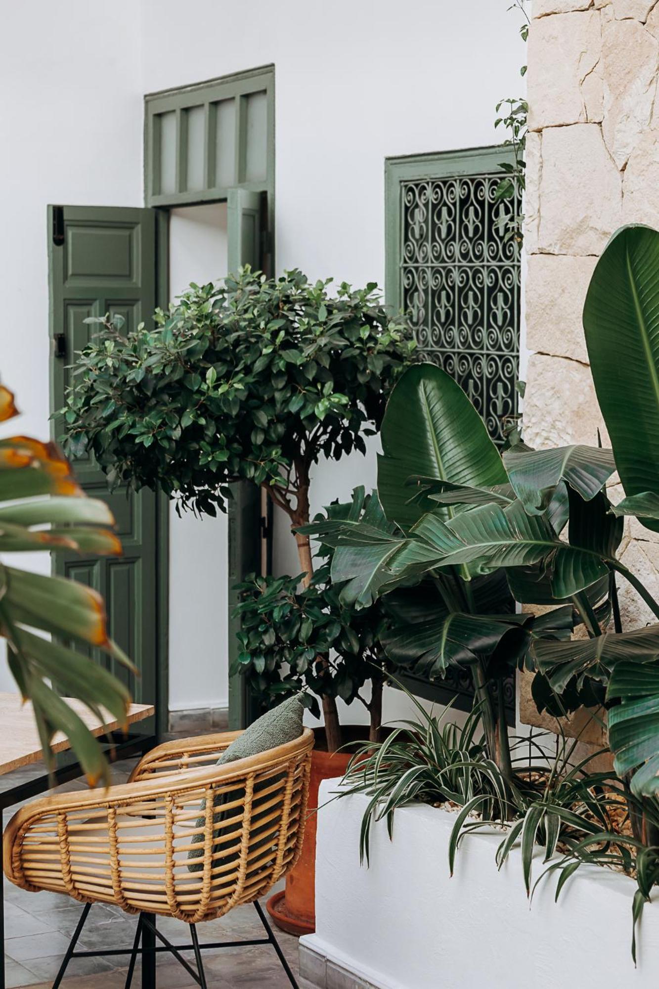 Riad Villa Wenge & Spa Marrakesh Eksteriør bilde
